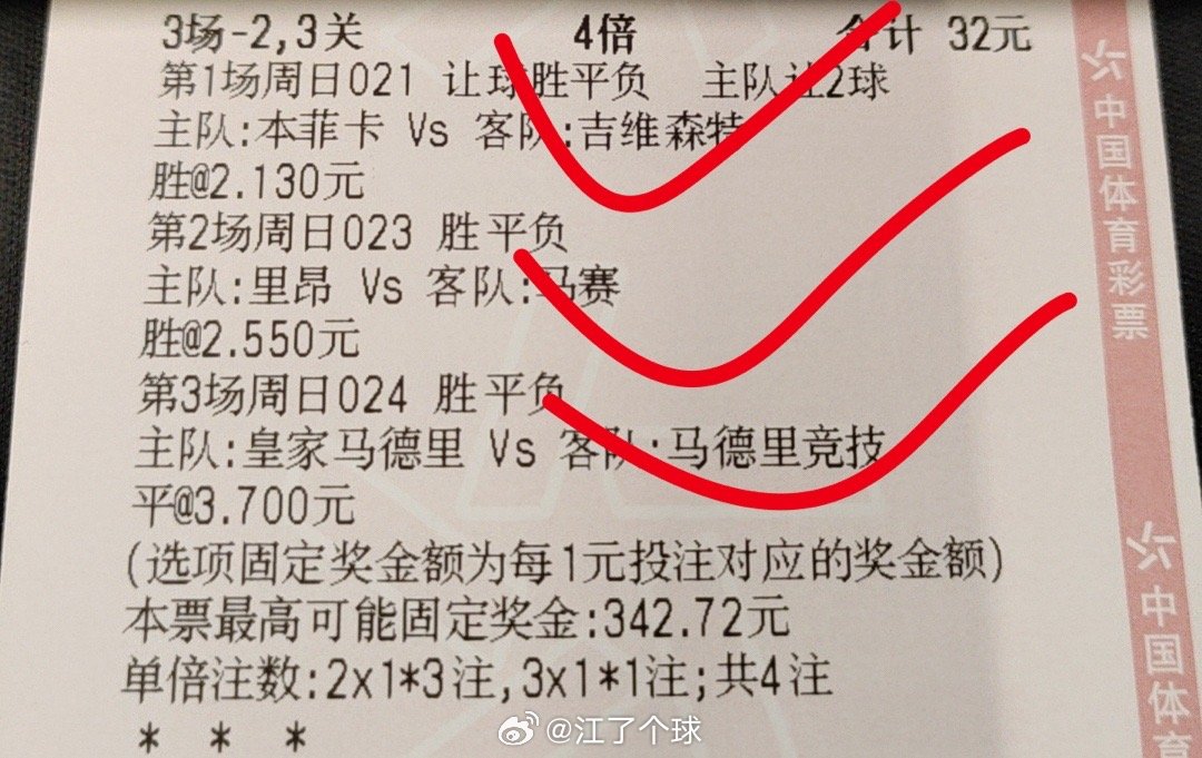 王中王特马论评特一肖，深度解析与探讨，王中王特马论评特一肖，深度剖析与探讨