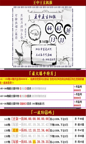管家婆王中王一肖码图的智慧与魅力，管家婆王中王，一肖码图的智慧与魅力展现