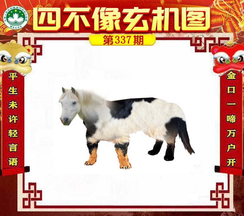 王中王四不像必中一肖——探索神秘预测背后的故事，王中王四不像必中一肖，揭秘神秘预测背后的故事