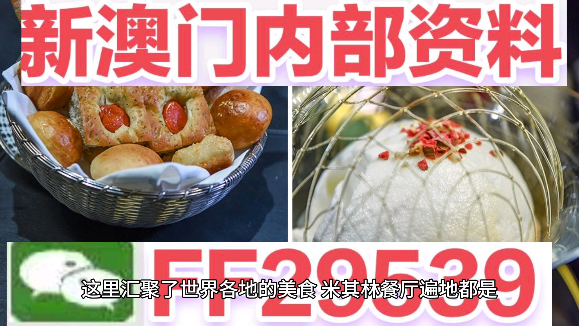 澳门特马今晚开奖，探索彩票背后的故事与期待，澳门特马今晚开奖，彩票背后的故事与期待揭秘