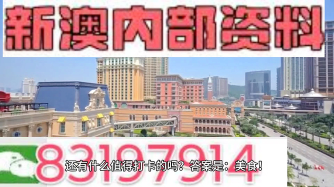 澳门免费精准资料，探索与解读，澳门免费精准资料解读与探索