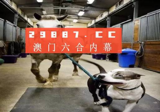 澳门一肖一码一必中一肖同舟前进，探索与希望，澳门一肖一码，同舟前进，探索与希望的征程