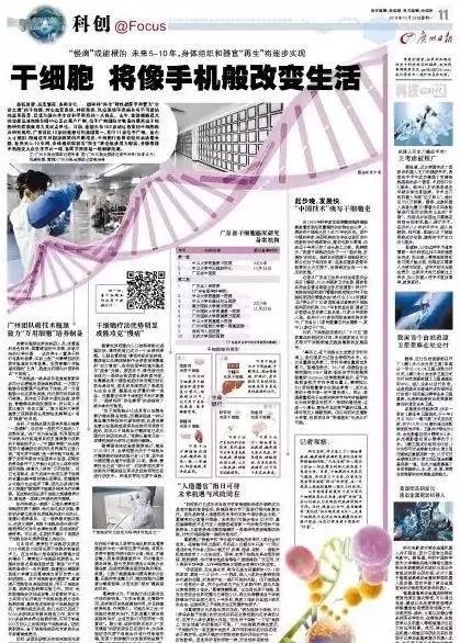 世界新闻报干细胞封面，揭示干细胞研究的最新进展与未来展望，世界新闻报干细胞专题封面，干细胞研究最新进展及未来展望揭秘