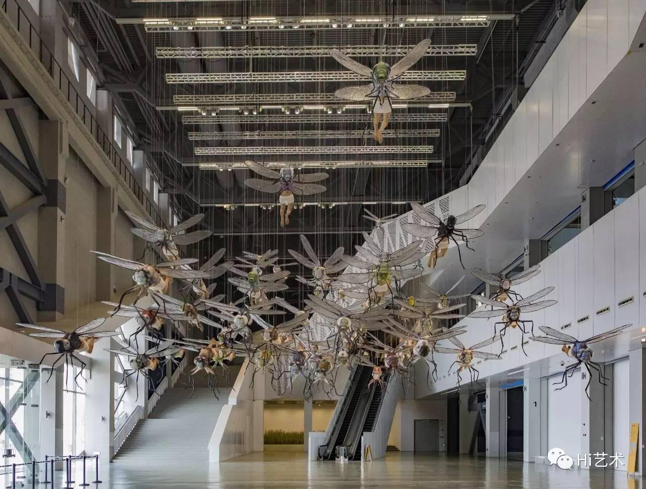 中国博物馆舰的收藏和展示，中国博物馆舰的珍贵收藏与精彩展示