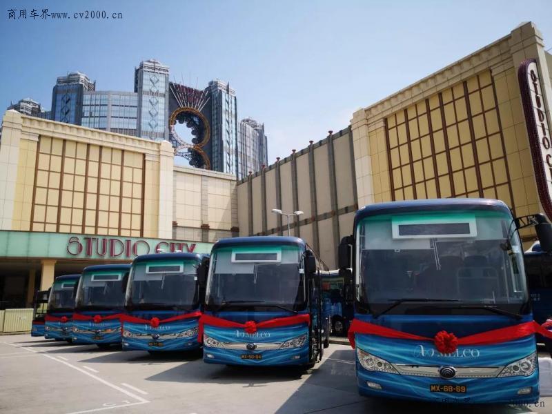 新澳门彩生肖走势图，探索与解读，新澳门彩生肖走势图深度探索与解读