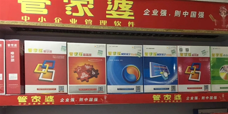 正版管家婆软件，企业管理的得力助手，正版管家婆软件，企业管理的最佳伙伴