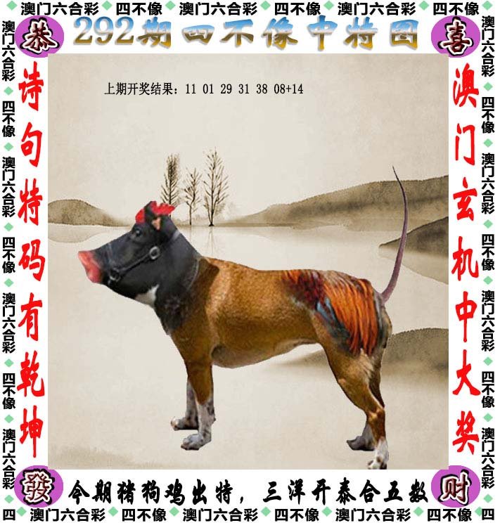 林中之王王中王——揭秘生肖之王的神秘面纱，揭秘生肖之王，森林霸主背后的神秘面纱