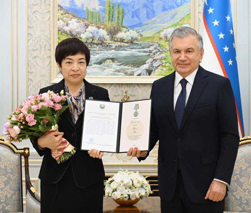 中国最高荣誉勋章，彰显荣耀，传承功勋，中国最高荣誉勋章，荣耀传承，功勋彰显