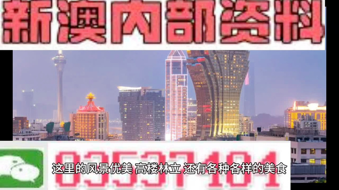 澳门精准资料免费，探索与解析，澳门精准资料解析与探索