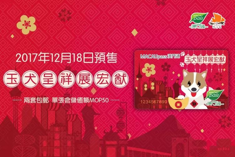 澳门正版资料大全与生肖卡的独特魅力，澳门正版资料大全与生肖卡的独特魅力揭秘