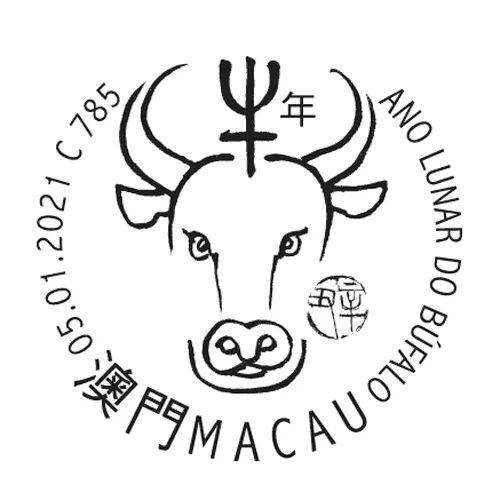 澳门正版资料大全，探索2021年的丰富内容，澳门正版资料大全，揭秘2021年精彩内容