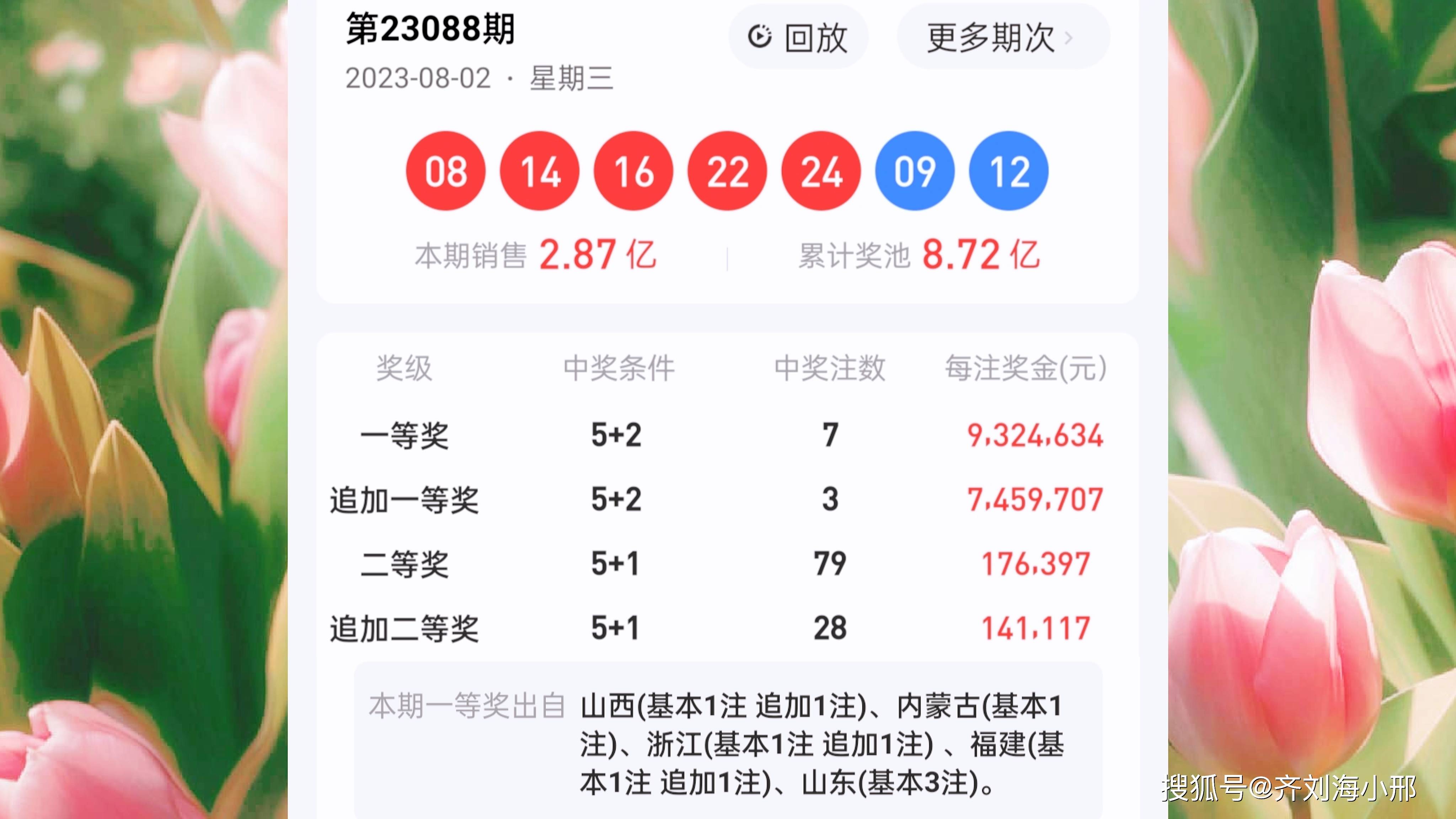 王中王一肖最早开奖，历史、文化及背后的故事，王中王一肖最早开奖，历史、文化与背后故事揭秘