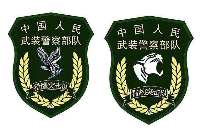 中国武警特种警察学院录取分数线解析，中国武警特种警察学院录取分数线详解