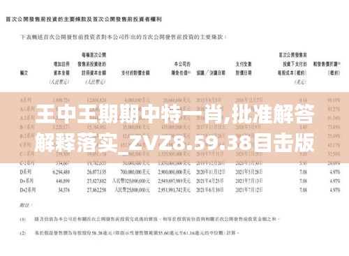 精准王中王一肖特，探索精准营销的极致境界，精准王中王一肖特，精准营销的极致探索