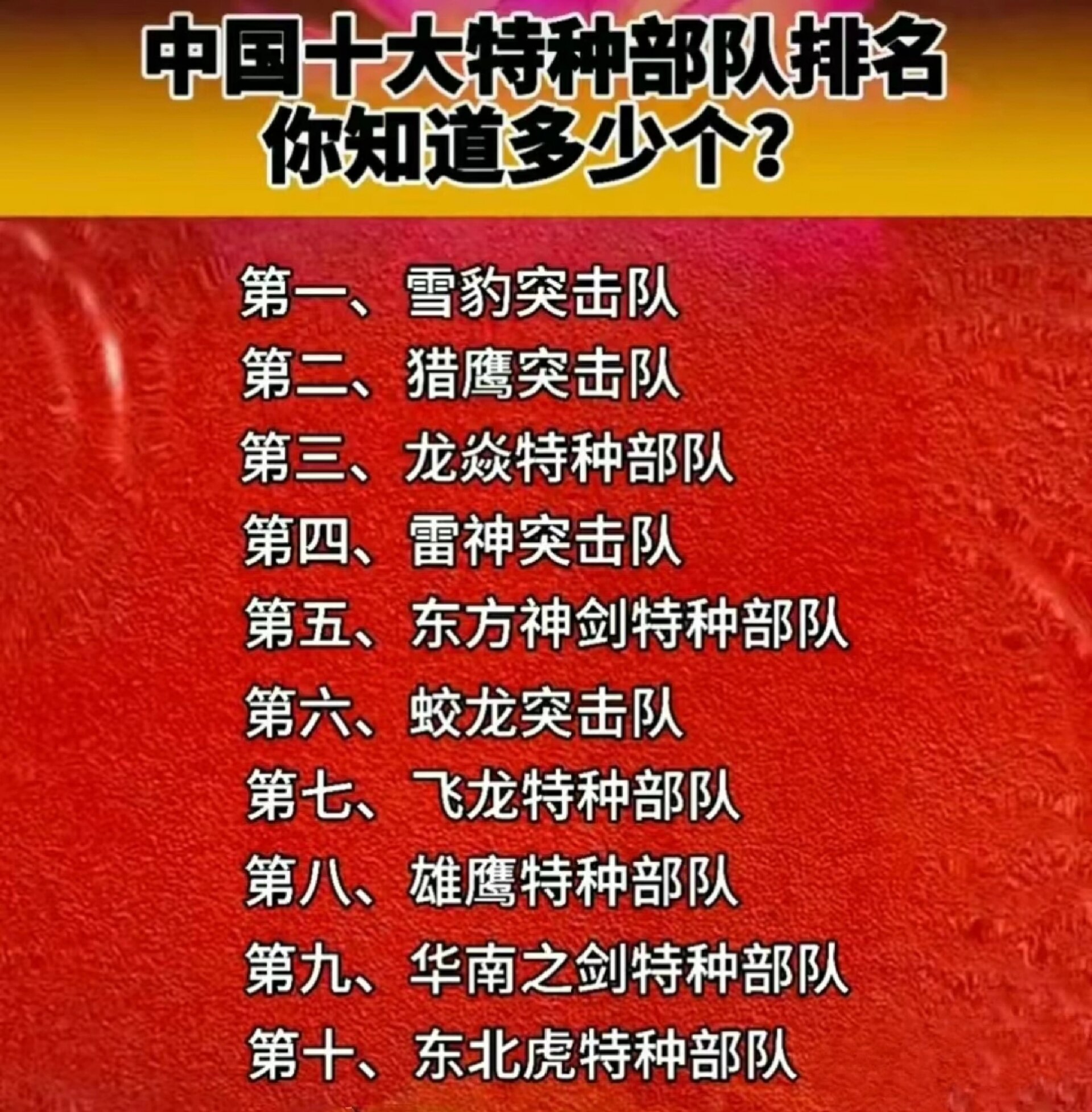 中国猎人特种部队排名及其影响力，中国猎人特种部队排名及影响力探究