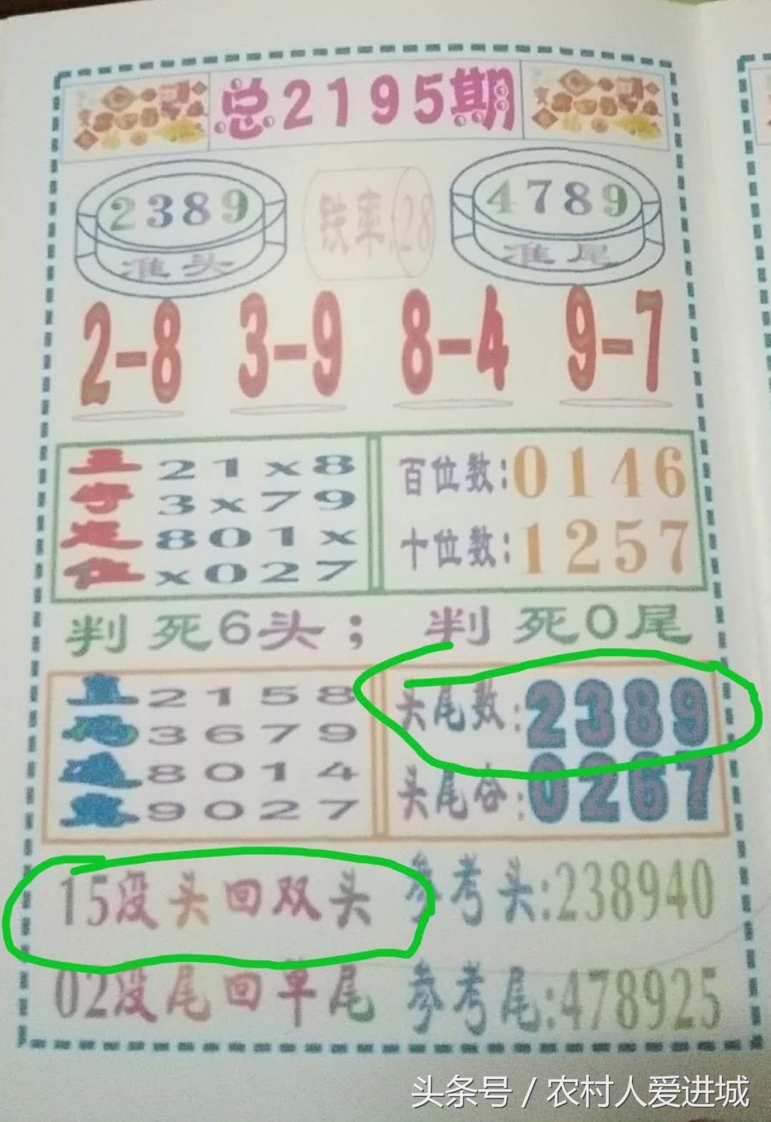 一码一肖，揭秘百分之百资料的深度解析，一码一肖，百分之百资料的深度解析与揭秘