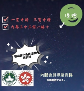 王中王香港一肖中特，揭秘彩票背后的秘密与探索成功的可能性，揭秘彩票背后的秘密，王中王香港一肖中特的成功探索之路