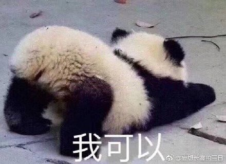 澳门今晚四不像正版图资料图片