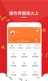 王中王一肖，探寻卓越之路的无尽荣光，王中王一肖，卓越之路的无尽荣光探索