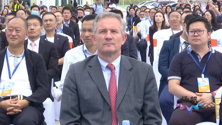 王中王孟料大全与生肖之谜——揭秘打一肖背后的故事，揭秘王中王孟料大全与生肖之谜，探寻背后隐藏的生肖故事