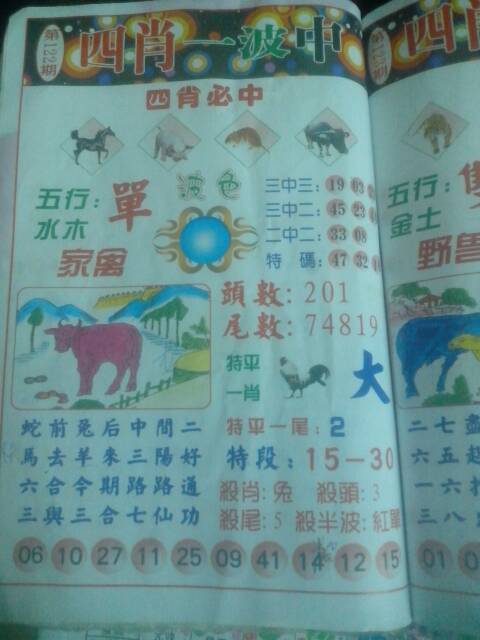 王中王130期指一生肖——探寻背后的奥秘与意义，王中王130期生肖背后的奥秘与探寻意义