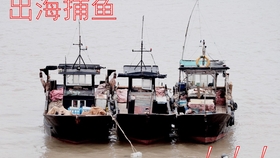 快艇价格概览，多少钱一艘船？，快艇价格大全，一艘船究竟要多少钱？