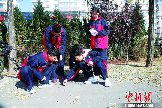 歼-10战斗机作战半径研究，空战能力的多维度解读，歼-10战斗机作战半径与空战能力多维度解读