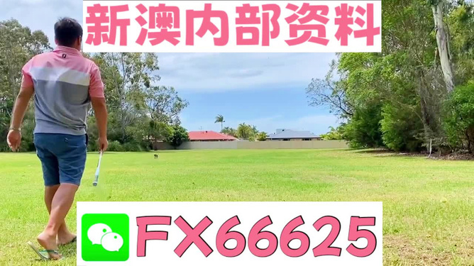 王中王肖四不像肖一肖特，探索与解析，王中王肖四不像肖一肖特，深度探索与解析
