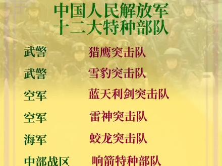 中国特战部队概览，中国特战部队全面概览