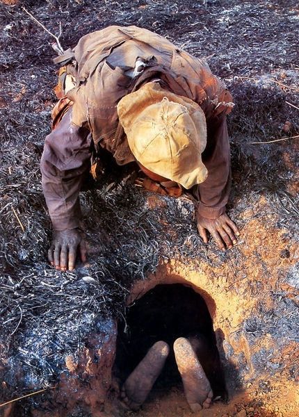 委内瑞拉猎人勋章与钢钉,一段历史的交织与工艺的融合,委内瑞拉猎人勋章与钢钉,历史交织与工艺融合的传奇故事