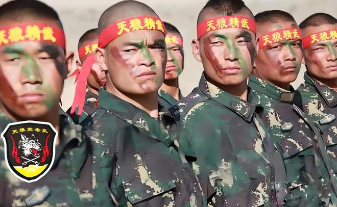 中国特种部队战力排行榜，中国特种部队战力排行榜揭晓