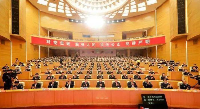特警招录条件详解，特警招录条件全面解析