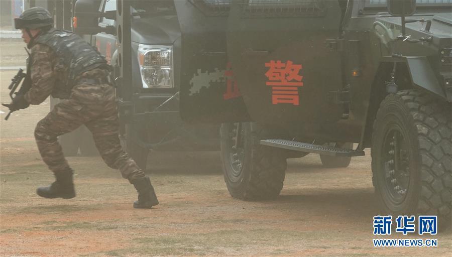 揭秘蛟龙突击队与美国海豹突击队实战演戏视频全过程，蛟龙突击队与海豹突击队实战演习全揭秘