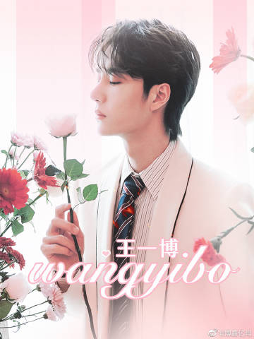 王中王一肖中码资料，探索背后的故事与意义，探索王中王一肖中码背后的故事与意义