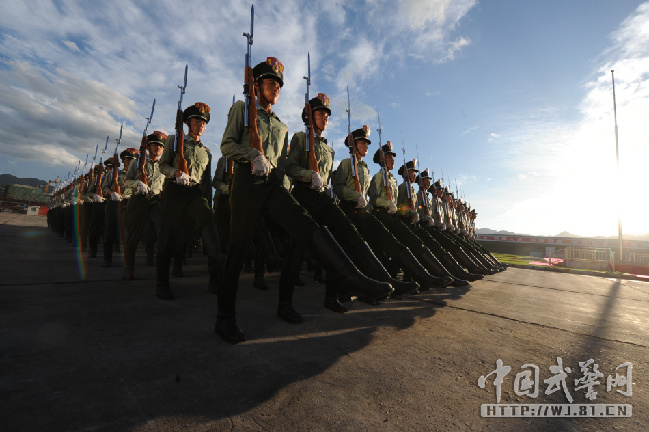 武警仪仗队，荣耀与责任的象征，武警仪仗队，荣耀与责任的象征标签