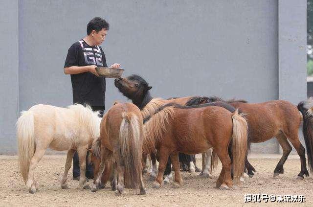 澳门四不像特马