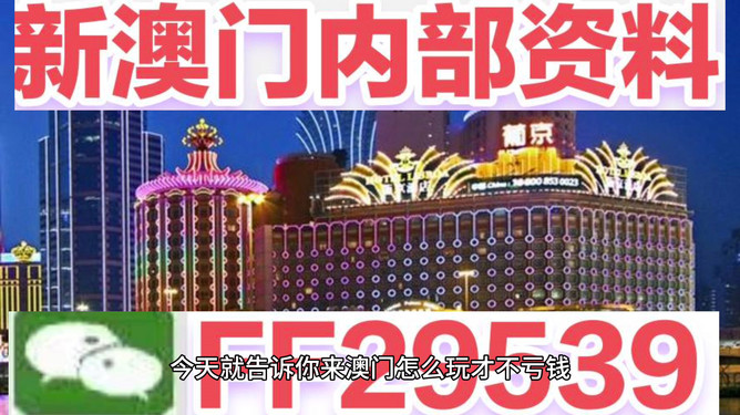 澳门码正版，探索未来的机遇与挑战，澳门码正版，未来机遇与挑战的探索