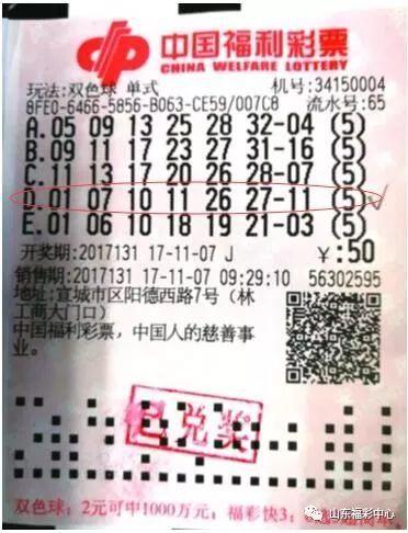买生肖中奖多少倍，揭秘生肖彩票的魅力与策略，揭秘生肖彩票的中奖倍数与魅力，策略与运气并存！