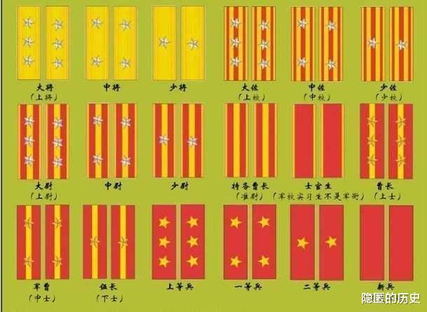 深度解析，2024年10月最新军改编制，深度解析，最新军改编制展望（2024年10月版）