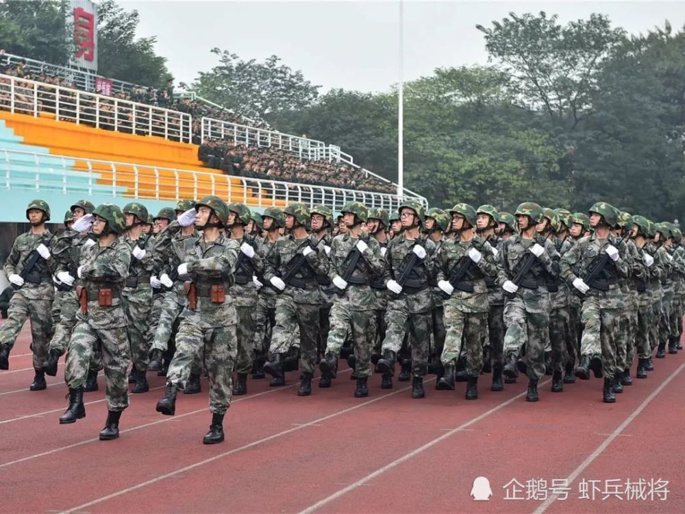 关于中国陆军数量的深度解析，中国陆军数量的深度剖析