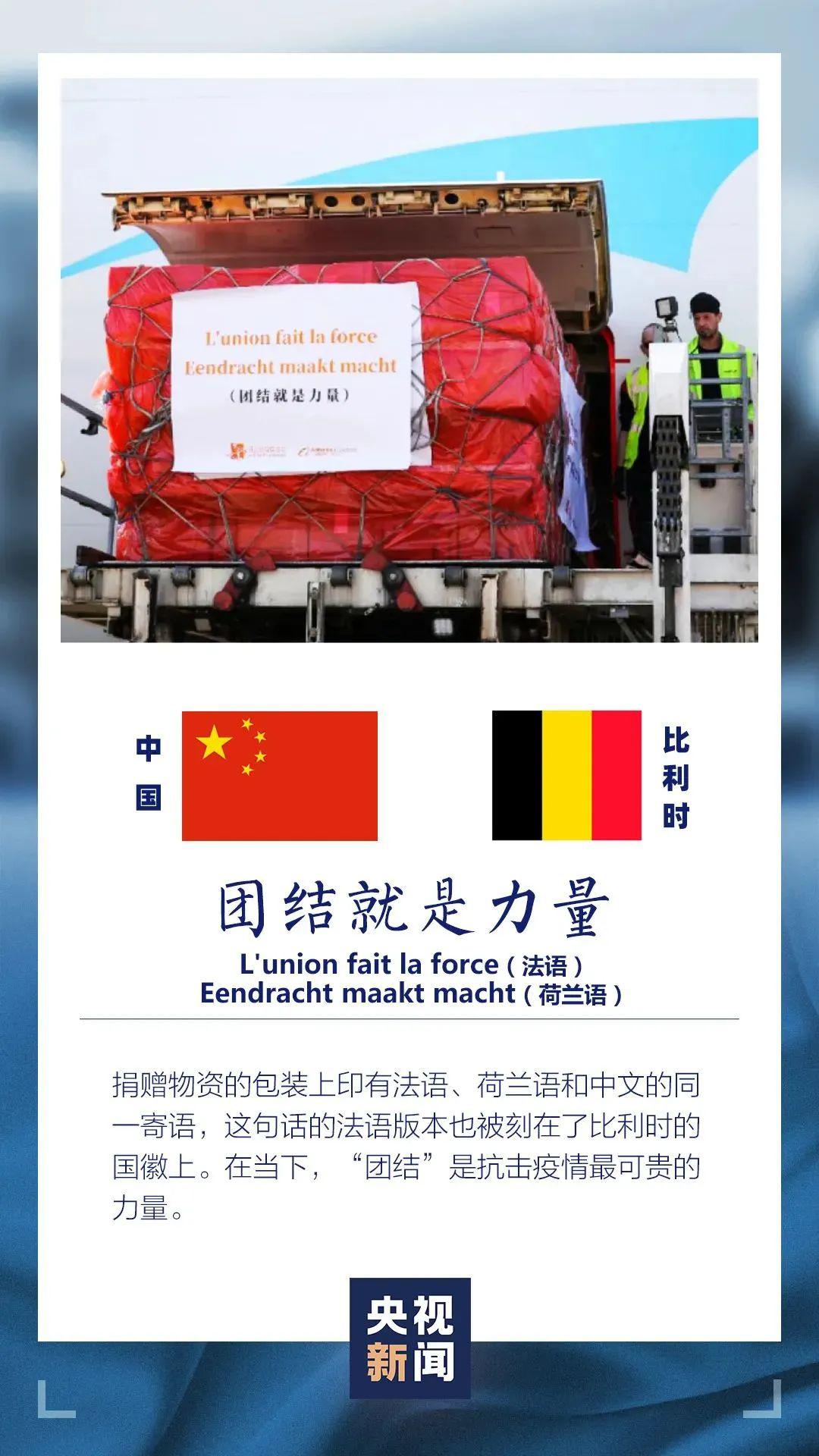 王中王资米斗一肖中持，历史、文化与现代社会的交融，历史、文化与现代社会的交融，王中王资米斗一肖中的独特视角