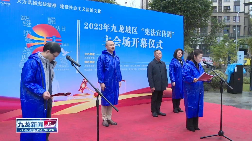 凤凰网新闻下的九龙坡，城市发展的脉搏与媒体的力量，凤凰网新闻聚焦九龙坡，城市发展与媒体的力量