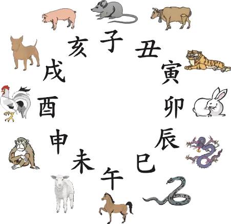 王中王指一生肖281期，生肖文化的魅力与预测热潮，王中王指一生肖281期，生肖文化的魅力引发预测热潮