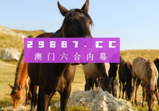澳门一肖一码必中一码管家婆，揭秘彩票背后的秘密与策略探讨，澳门彩票揭秘，一肖一码策略与必中秘籍探讨