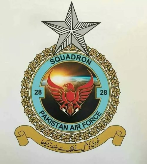 空军飞行标志图片，象征力量与荣耀的象征，空军飞行标志图片，力量与荣耀的徽章