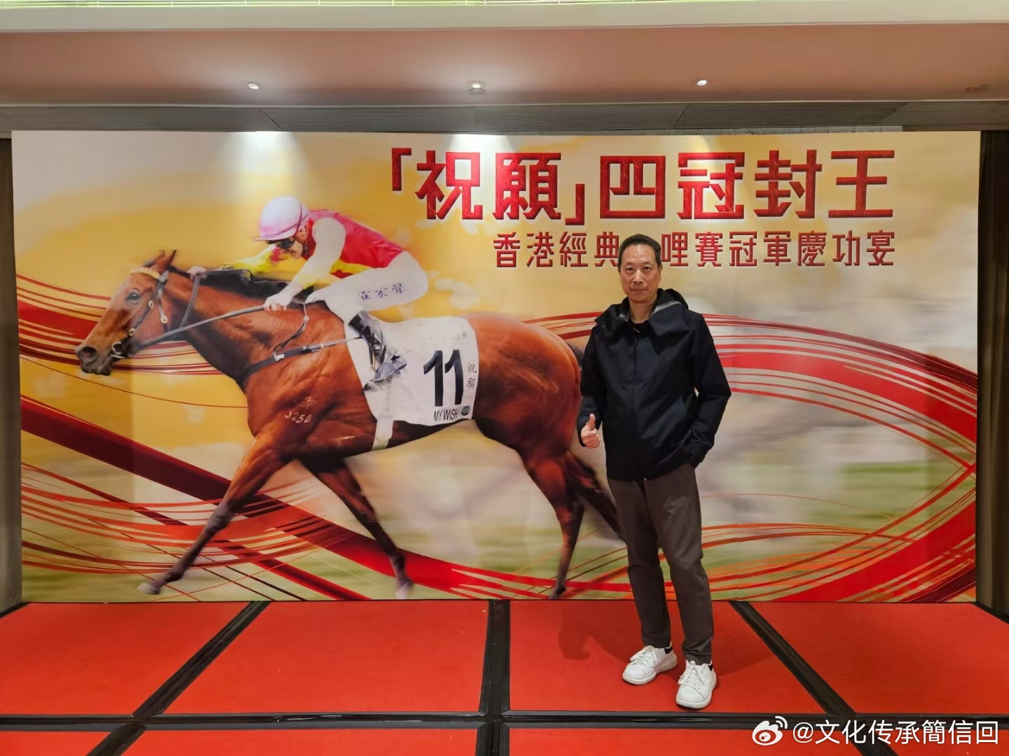 香港王中王中一肖论纭，深度解析与探讨，香港王中王中一肖论纭深度解析与探讨，揭秘背后的真相