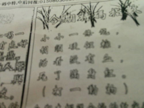 必中刘伯温猜一肖，神秘预言与传奇色彩的交融，刘伯温神秘预言与传奇色彩的交融，揭秘生肖之谜