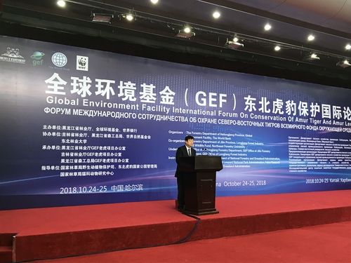 国际形势网站与论坛，洞察全球动态的窗口，全球动态洞察，国际形势网站与论坛前沿观察