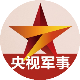 新浪军情，深度解析全球军事动态，新浪军情，全球军事动态深度解析