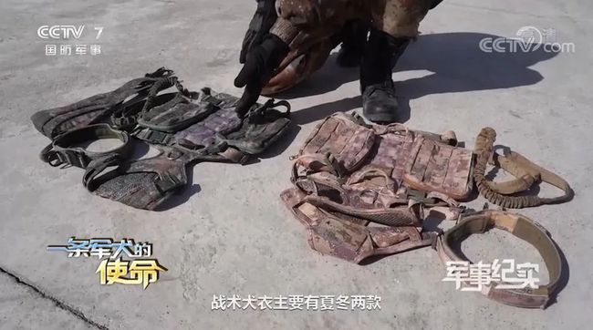 星空迷彩几个版本，演变与特色分析，星空迷彩的演变历程与特色分析，版本演变及差异解析